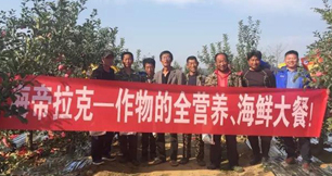 苹果树12月管理技术要点！抓紧时间看