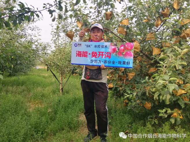 51漫画APP下载底肥免开沟 用效果说话！
