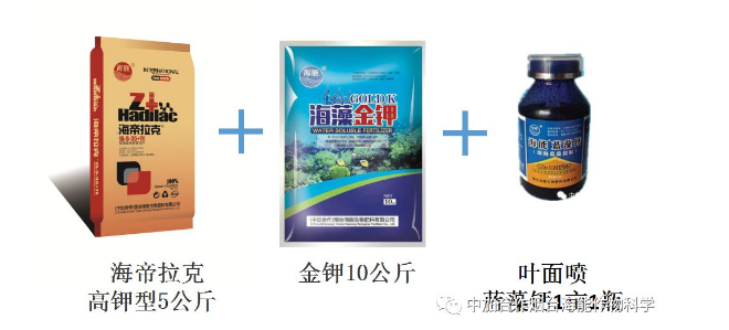 51漫画APP下载生物高品质葡萄全程“傻瓜式”施肥方案