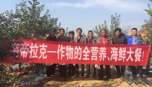 苹果树12月管理技术要点！抓紧时间看