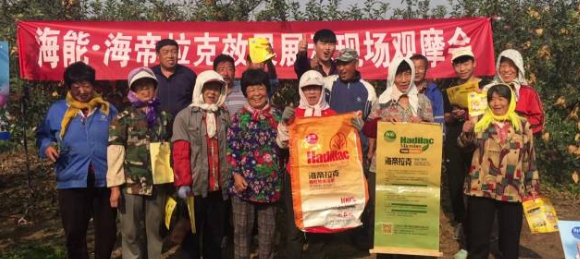 苹果树12月管理技术要点！抓紧时间看