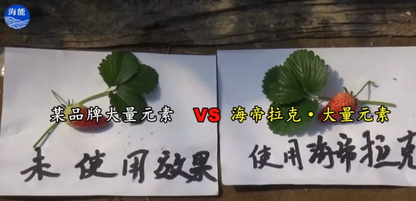 水肥一体化不止是节水、节肥！还有这功效！