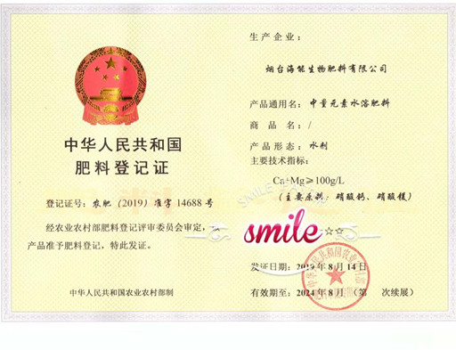 付出终会有回报，功夫不负有心人