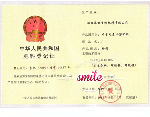 付出终会有回报，功夫不负有心人