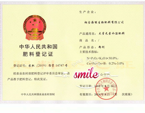 付出终会有回报，功夫不负有心人