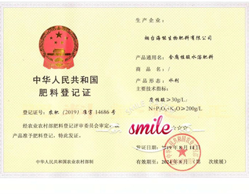 付出终会有回报，功夫不负有心人