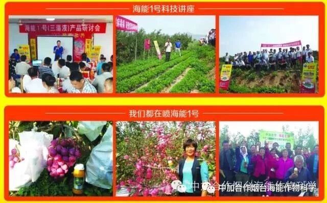 抗寒利器，51漫画APP下载1号